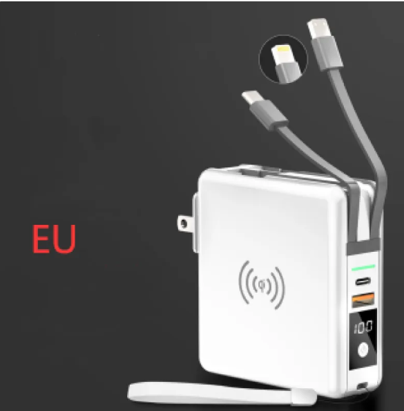 RapidCharge 20W Power Bank