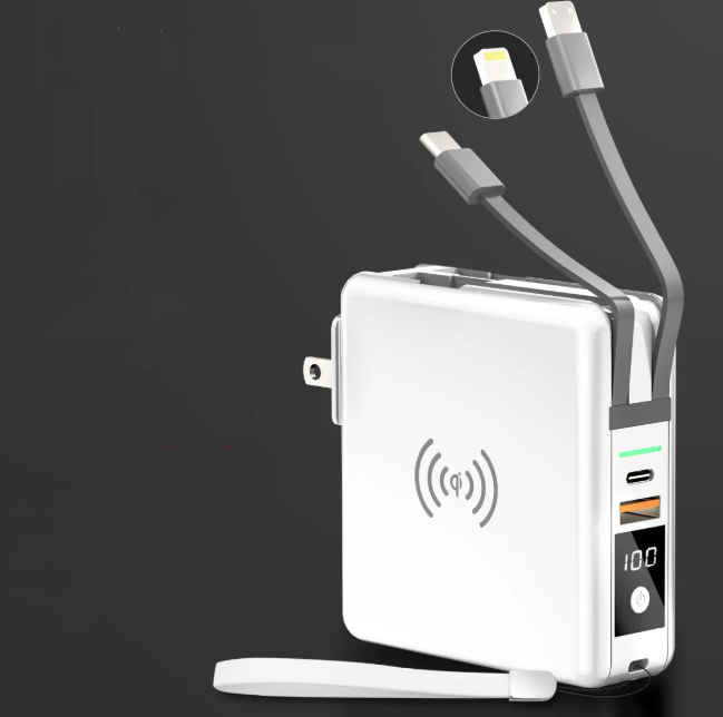 RapidCharge 20W Power Bank