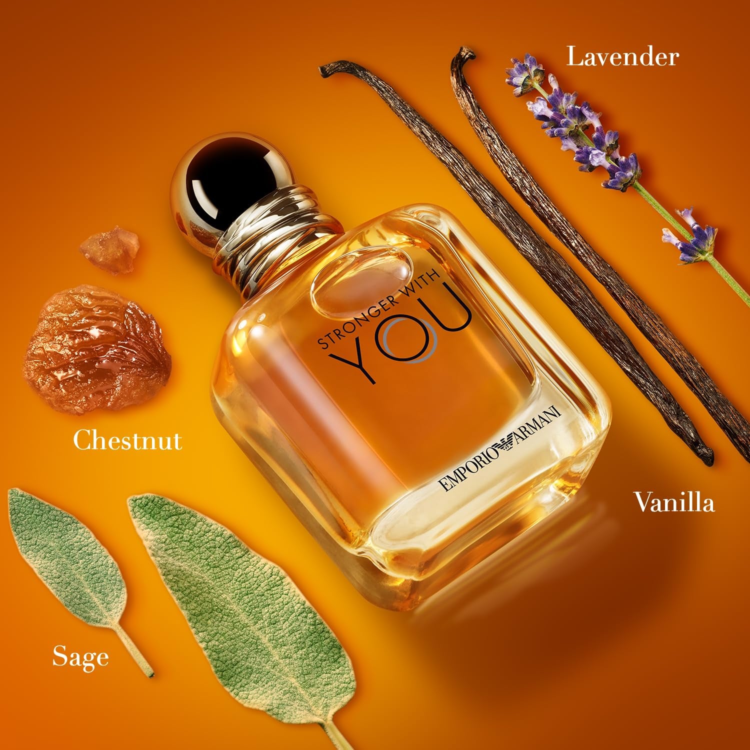 - Stronger with You - Eau De Toilette - Cologne for Men - Warm Spicy Fragrance - Chestnut, Lavender, Tender Sage, Vanilla Notes