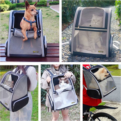 Premium Bubble Backpack Pet Carrier for Cats and Dogs - Black