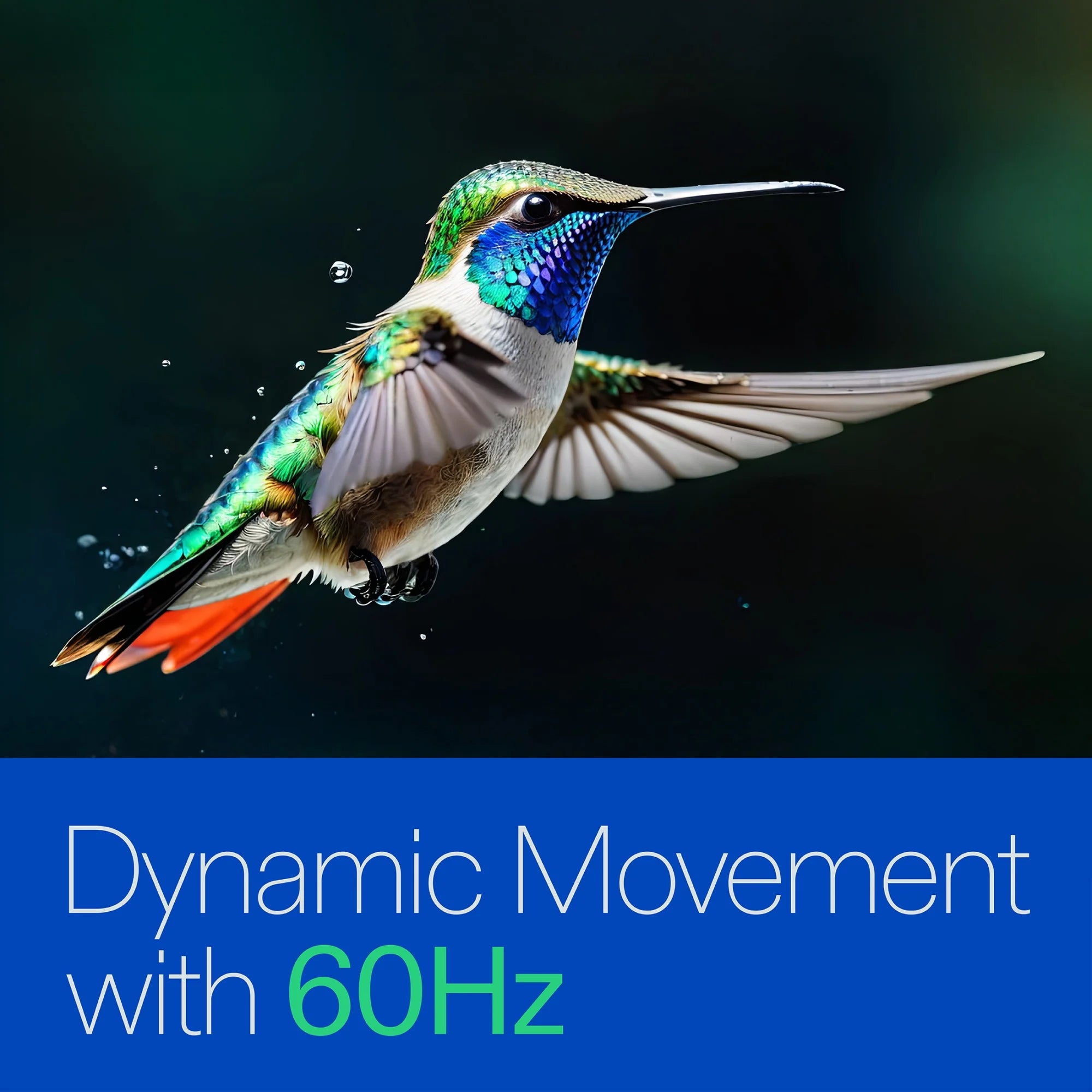 43” Class 4K UHD Roku Smart Television, 100012584