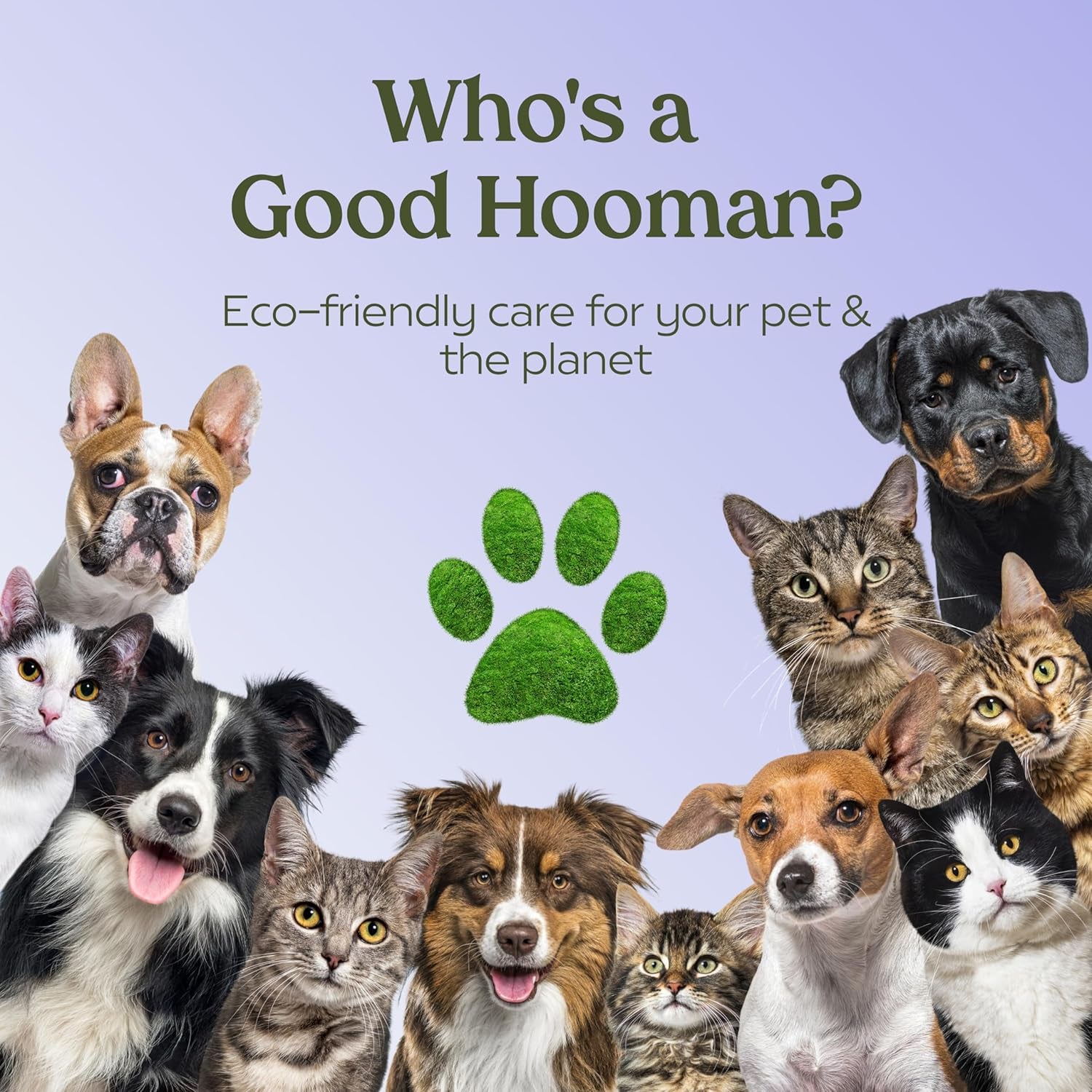 PAWFUME Royal Lavender Dog Detangler Grooming Spray, 1-Pack – Hypoallergenic, Alcohol-Free Formula for All-Day Freshness, Detangling and Moisturizing – Salon-Quality Coat and Fur Care Essentials