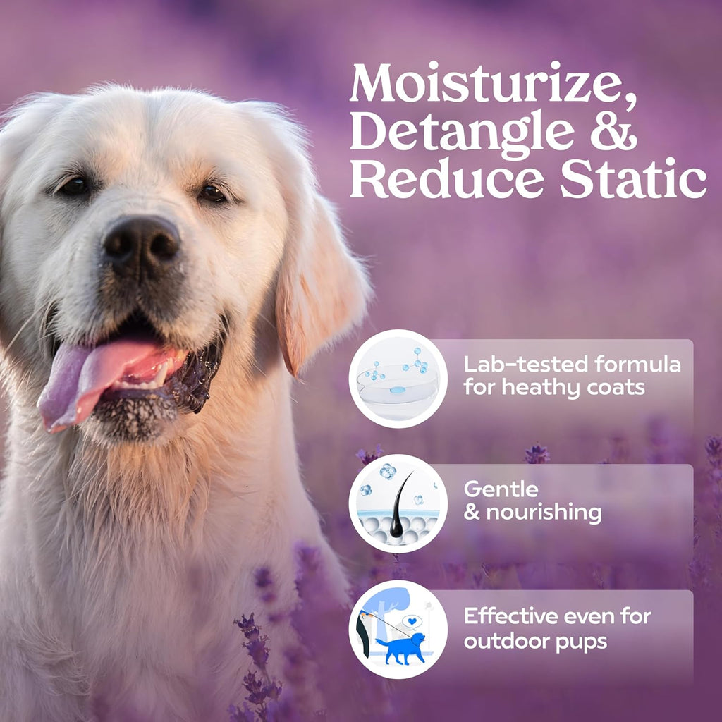 PAWFUME Royal Lavender Dog Detangler Grooming Spray, 1-Pack – Hypoallergenic, Alcohol-Free Formula for All-Day Freshness, Detangling and Moisturizing – Salon-Quality Coat and Fur Care Essentials